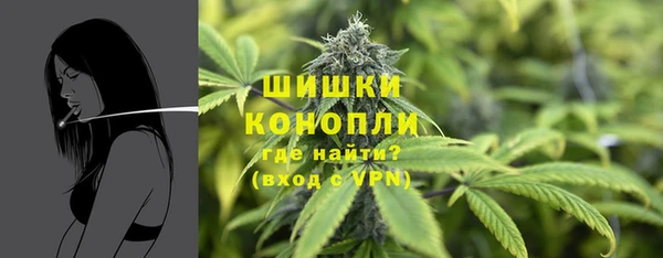 ГАЛЛЮЦИНОГЕННЫЕ ГРИБЫ Цивильск