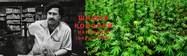 ГАЛЛЮЦИНОГЕННЫЕ ГРИБЫ Цивильск