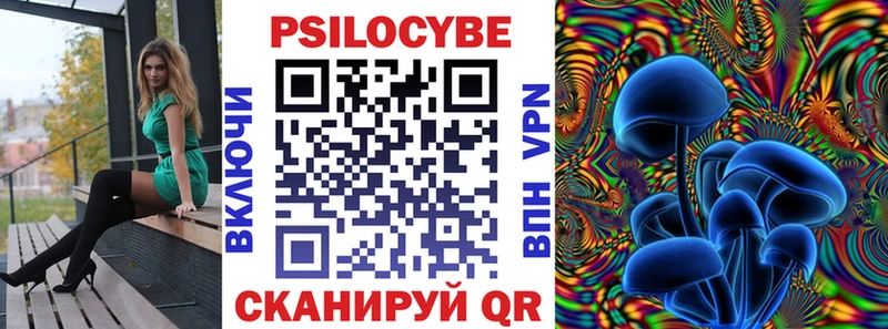 Галлюциногенные грибы Psilocybe Александровск-Сахалинский