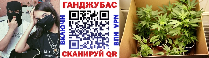 закладки  Александровск-Сахалинский  Бошки Шишки планчик 